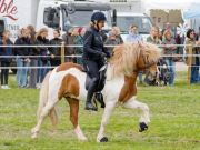 Pferd International 2026