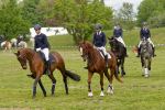 Pferd International 2026