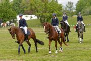 Pferd International 2026
