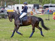 Pferd International 2026