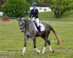 Pferd International 2026