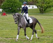 Pferd International 2026