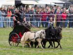 Pferd International 2026