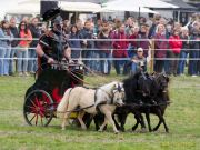 Pferd International 2026