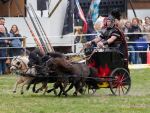 Pferd International 2026