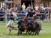 Pferd International 2026
