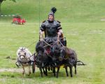 Pferd International 2026