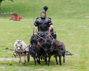 Pferd International 2026