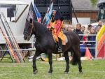 Pferd International 2026