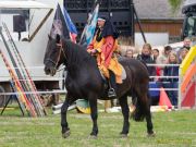 Pferd International 2026