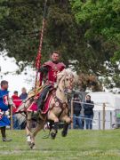 Pferd International 2026