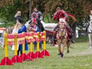 Pferd International 2026