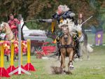 Pferd International 2026