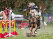 Pferd International 2026
