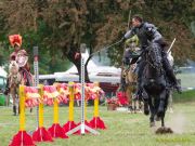 Pferd International 2026