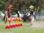 Pferd International 2026