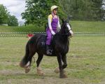 Pferd International 2026