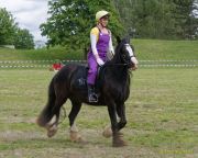 Pferd International 2026