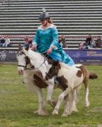 Pferd International 2026