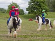 Pferd International 2026