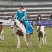 Pferd International 2026