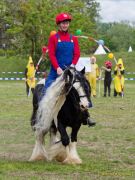 Pferd International 2026