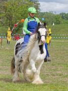 Pferd International 2026