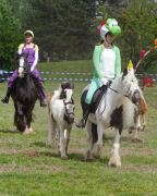 Pferd International 2026