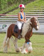 Pferd International 2026