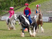 Pferd International 2026