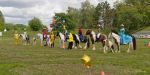 Pferd International 2026