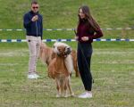 Pferd International 2026