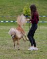 Pferd International 2026