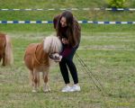 Pferd International 2026