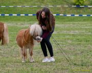 Pferd International 2026