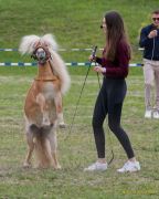 Pferd International 2026