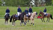 Pferd International 2026