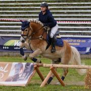 Pferd International 2026