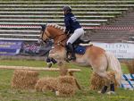 Pferd International 2026