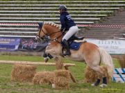 Pferd International 2026