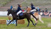Pferd International 2026