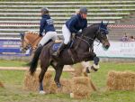 Pferd International 2026