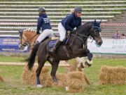 Pferd International 2026