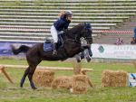 Pferd International 2026