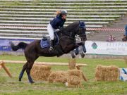 Pferd International 2026
