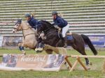 Pferd International 2026