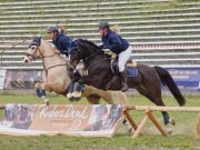 Pferd International 2026