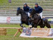 Pferd International 2026