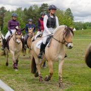 Pferd International 2026