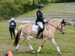 Pferd International 2026